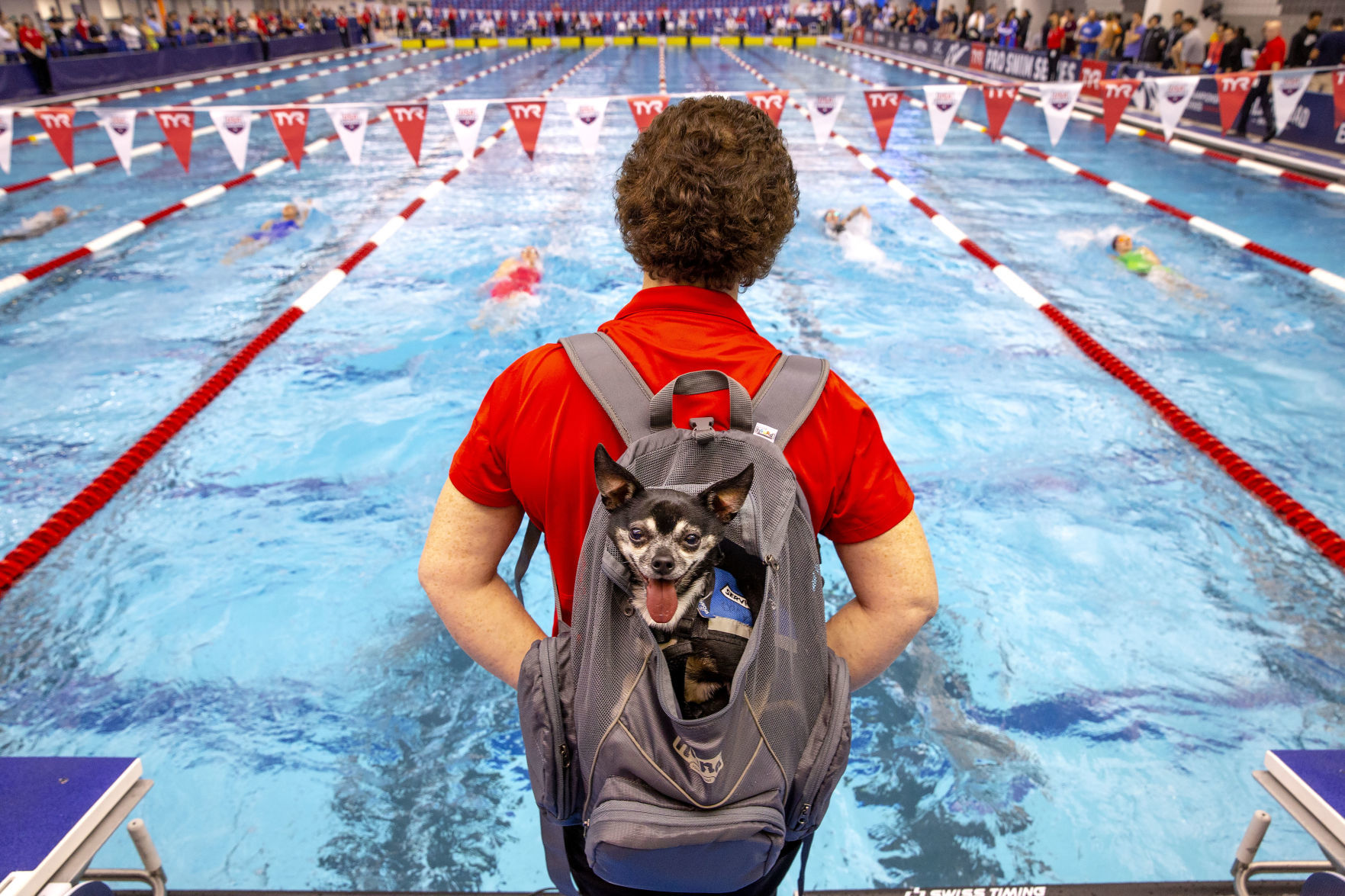 TYR Pro Swim Series finals